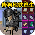 狗狗地铁逃生