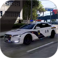 警察缉私巡查3D