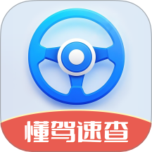 懂驾速查