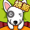 全民最囧奇葩烧脑大师