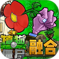 植物僵尸冲突
