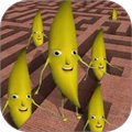 3D大迷宫 v1.0