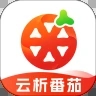 云析番茄