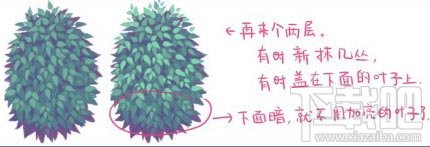 怎么样用SAI绘图软件绘制植物