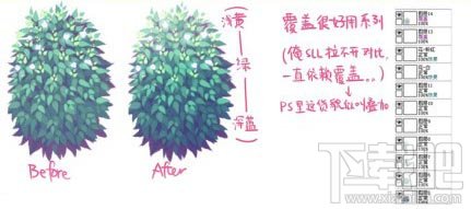 怎么样用SAI绘图软件绘制植物