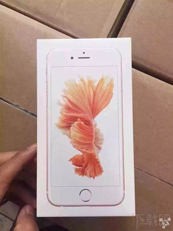 国行iPhone 6S真机现身