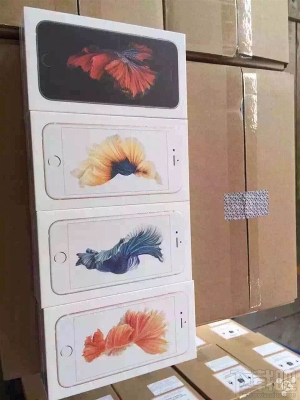 国行iPhone 6S真机现身