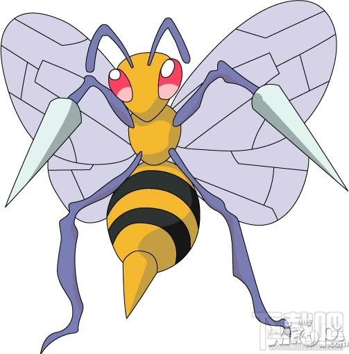 宠物小精灵官方版大针蜂属性解析