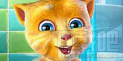 会说话的汤姆猫包括几种小游戏具体介绍