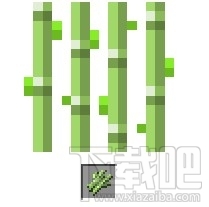 我的世界甘蔗怎么种 种甘蔗是个技巧活不只是力气活