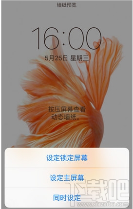 iphone动态壁纸动不了了怎么办 苹果手机动态壁纸效果没了怎么办