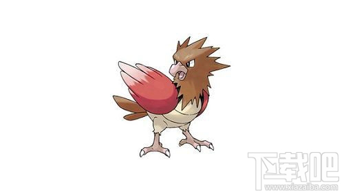 口袋妖怪go大嘴雀怎么样 Pokemon go大嘴雀技能属性图鉴介绍