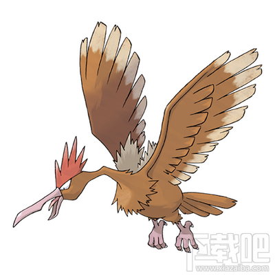 口袋妖怪go大嘴雀怎么样 Pokemon go大嘴雀技能属性图鉴介绍