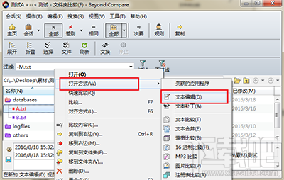 Beyond Compare比较文件怎么直接跳转编辑页面