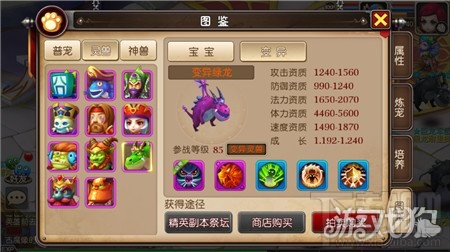 我叫MT3绿龙宝宝灵兽战斗实力介绍