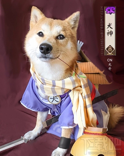 阴阳师手游哪些sr式神值得培养 阴阳师SR式神推荐