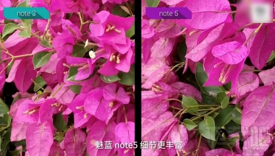 魅蓝note5和魅蓝note3哪个好 魅蓝note5和note3区别对比