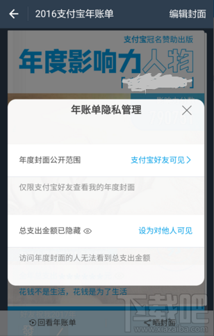 怎么让别人看到我的2016支付宝账单支出金额？