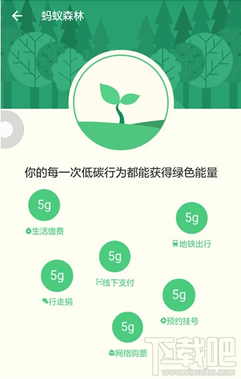 支付宝蚂蚁森林怎么收取别人的能量