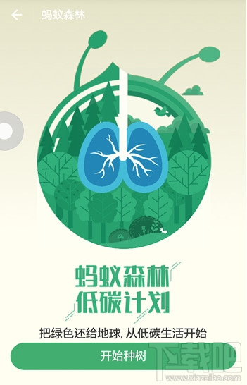 支付宝蚂蚁森林怎么收取别人的能量