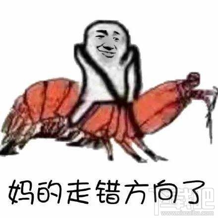 “皮皮虾我们走”是什么梗？跨界皮皮虾表情包分享一览