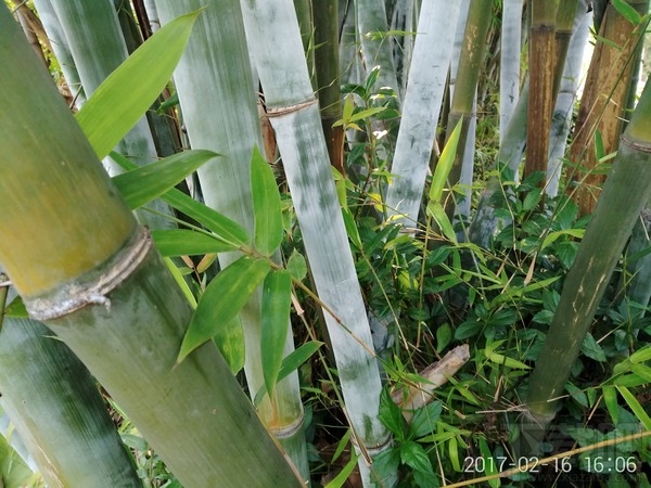 360手机N5好不好用？360手机N5最全面体验评测详情