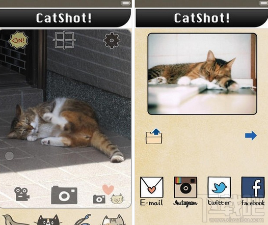 CatShot怎么玩？CatShot黑科技拍猫神器怎么使用