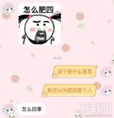 肥四是什么意思？肥四是什么梗？