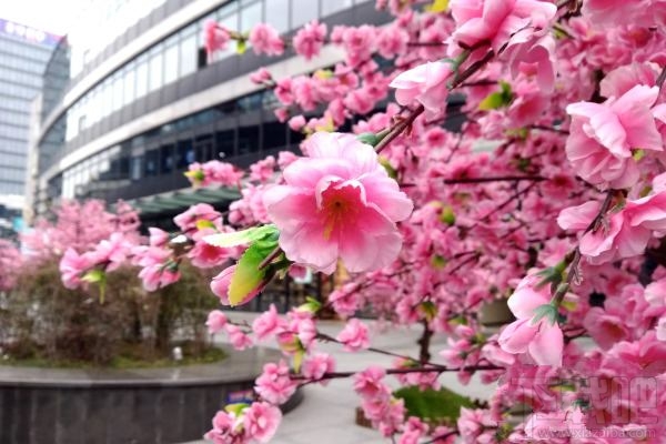 海信A2手机值不值得买？海信双屏手机A2优缺点评测