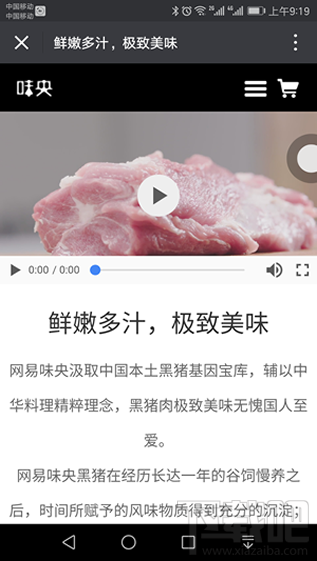 网易味央黑猪肉哪里卖？味央猪肉多少钱一斤？