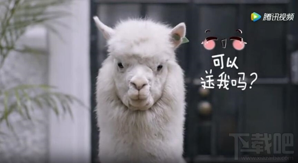 菜鸟裹裹萌急送是什么？菜鸟裹裹萌急送怎么使用？
