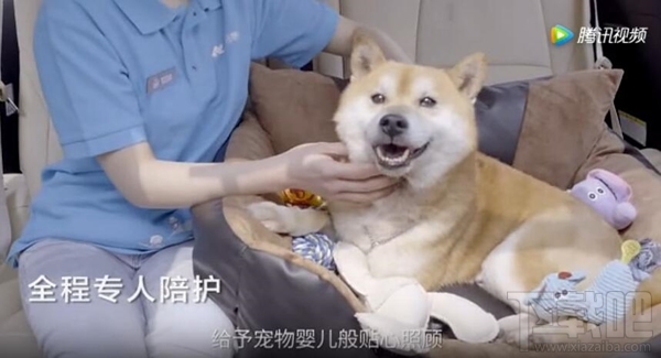 菜鸟裹裹萌急送是什么？菜鸟裹裹萌急送怎么使用？