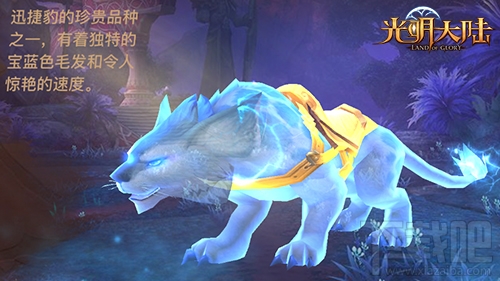 光明大陆游戏超魔幻坐骑纵览