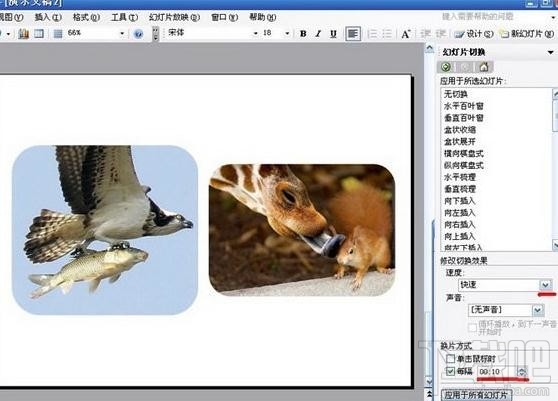 PowerPoint2016电子相册如何制作