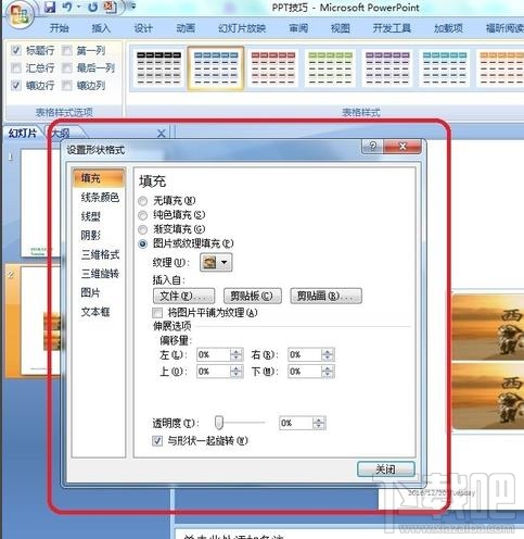 ppt2016插入图片后格式怎么调整