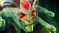 dota2 7.06改动日志 dota2 7.06更新日志介绍