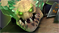 dota2 7.06改动日志 dota2 7.06更新日志介绍