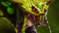 dota2 7.06改动日志 dota2 7.06更新日志介绍