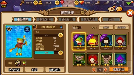 心之城堡手游宠物有什么进阶技巧？心之城堡手游宠物进阶攻略