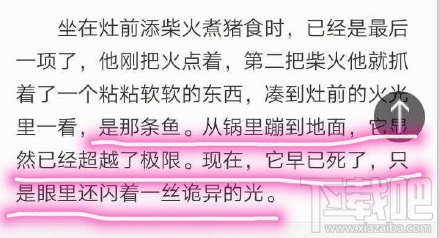 鱼诡异的光什么梗？鱼诡异的光是什么意思？