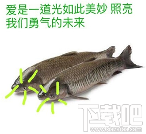 鱼诡异的光什么梗？鱼诡异的光是什么意思？