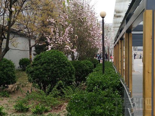 努比亚Z17mini拍照怎么样？努比亚Z17mini拍照性能介绍