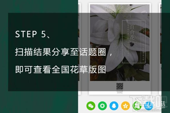 qq浏览器怎么识别花草？qq浏览器识你所见怎么玩