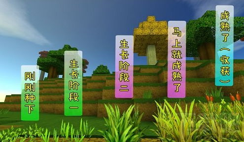 迷你世界怎么种小麦？迷你世界开垦耕地攻略