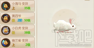 寻仙手游宠物变异方法介绍 寻仙手游宠物怎么变异 