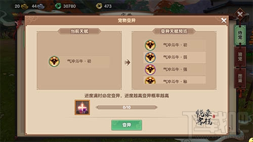 寻仙手游宠物变异方法介绍 寻仙手游宠物怎么变异 