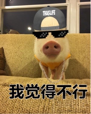 我觉得还可以是什么梗？我觉得还可以 中国有嘻哈口头禅