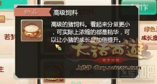 大话西游手游怎么提升小猪成长度 提升方法攻略