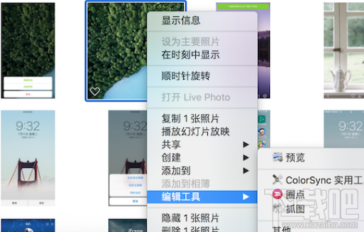 苹果macOS High Sierra支持第三方照片处理软件吗？