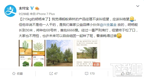 支付宝蚂蚁森林新增胡杨树种：支付宝蚂蚁森林胡杨需要215kg能量
